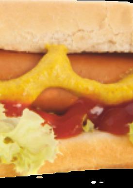 Чианг май дог